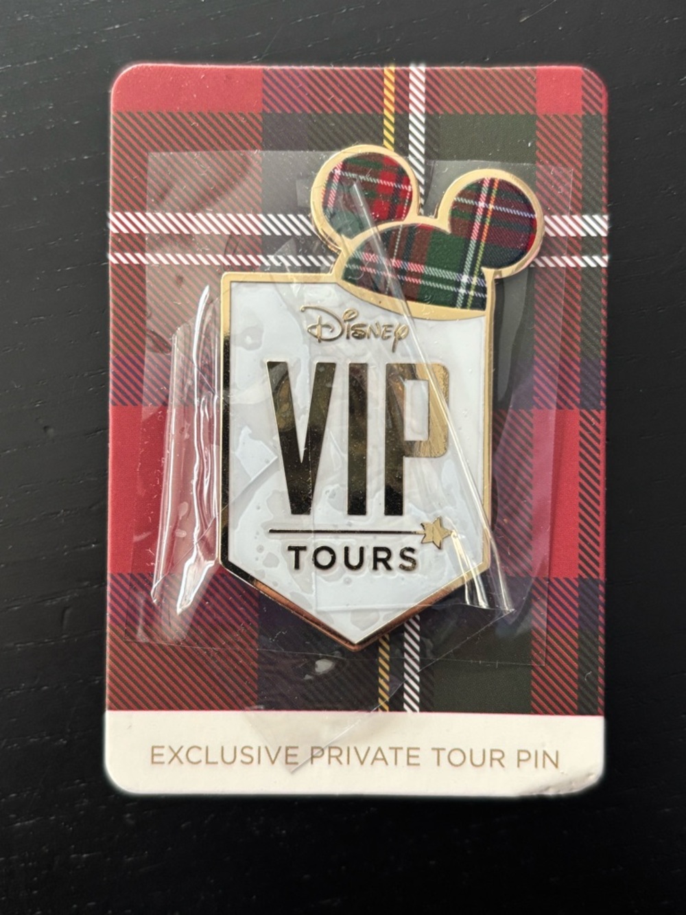 Disney VIP tour pin